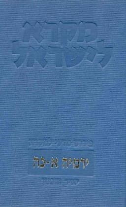 מזוודה קטנה