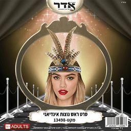 סרט ראש 6 נוצות עם יהלום לאינדיאנית