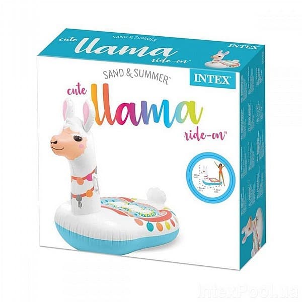 למה מתנפח לבריכה מבית 57564 INTEX