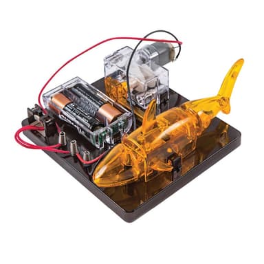 פחית לעובד       יח