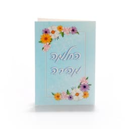 כובע שלגייה