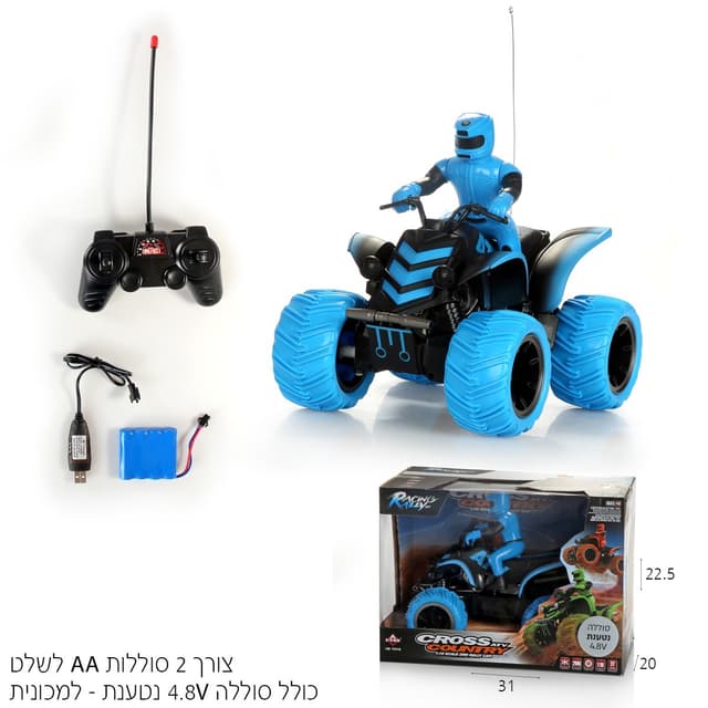 פינסקיה אלכסון