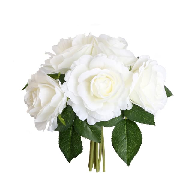 כוסברה ירוקה.