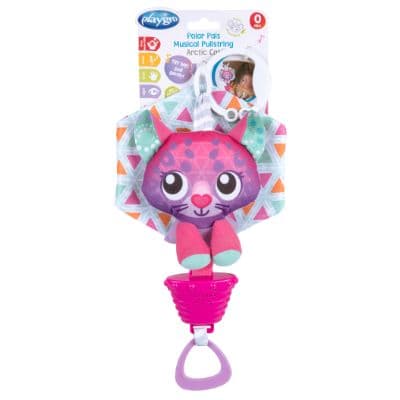 תיבת נגינה מוזיקלית חתול