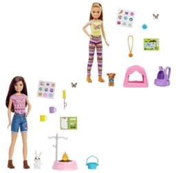 ברבי מארז קמפינג עם אביזרים מגוון