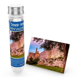 מיני פאזל – מגדל דוד
