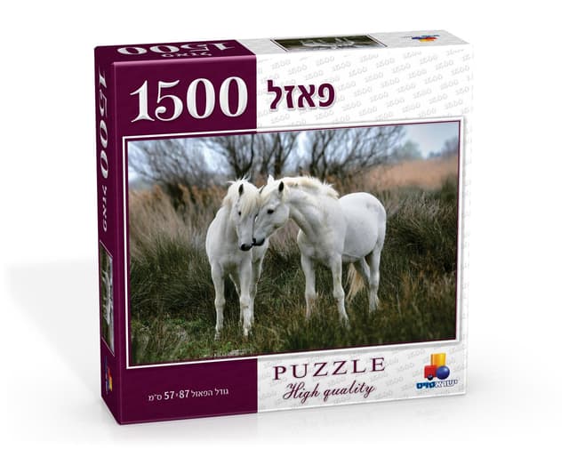 פאזל אהבה צעירה