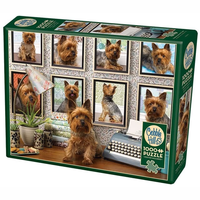 פאזל יורקשייר הם הטיפוס שלי