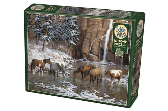 פאזל רוח הרוקי