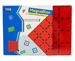 שוק אווז עם שזיפים ש