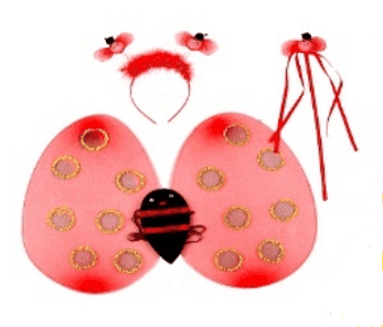 סט כנפיים חיפושית כולל קשת ושרביט