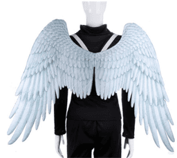 כוסברה ארוז ביכורי שדה