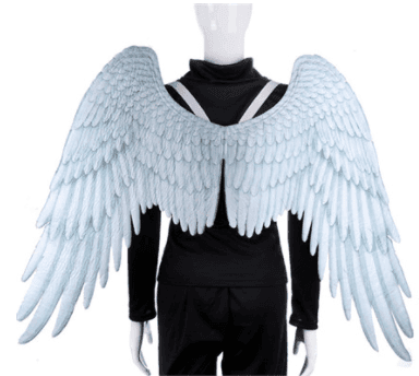 כוסברה ארוז ביכורי שדה