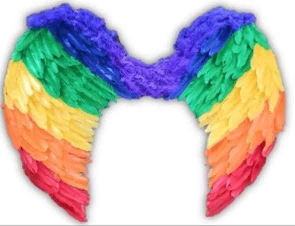 כנפיים מלאך צבעוני 60*45