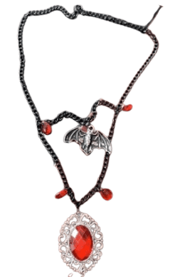 צלעות בקר כשר מיושן