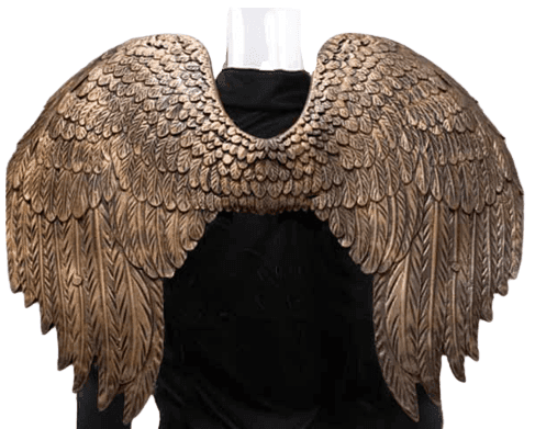 צלעות אונטריב בקר כשר טרי