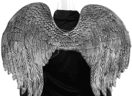 שישליק שווארמה