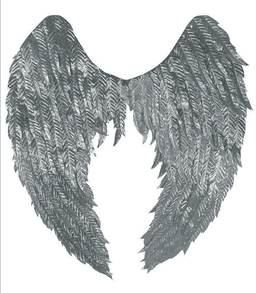 בשר ראש חלק טרי