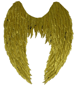 סטייק אנטריקוט כשר מיושן