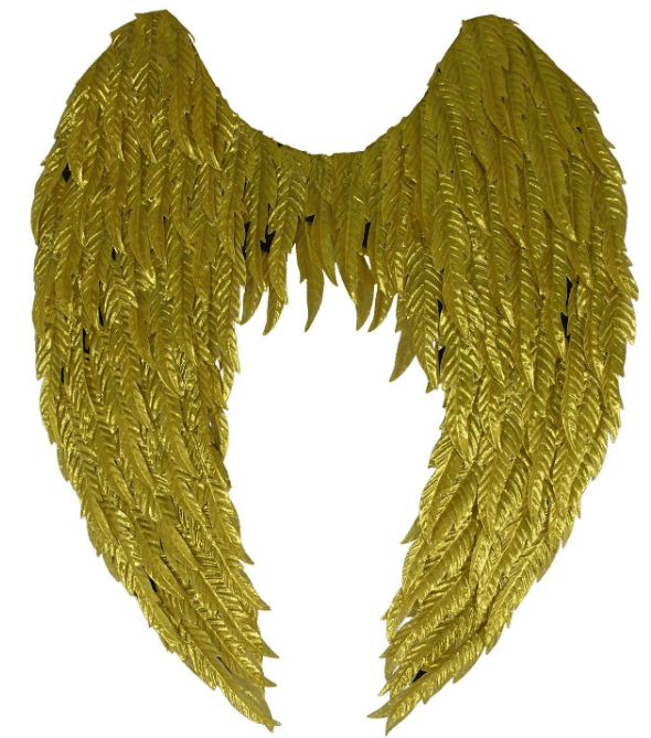 סטייק אנטריקוט כשר מיושן