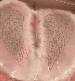 סטייק אנטריקוט חלק מיושן