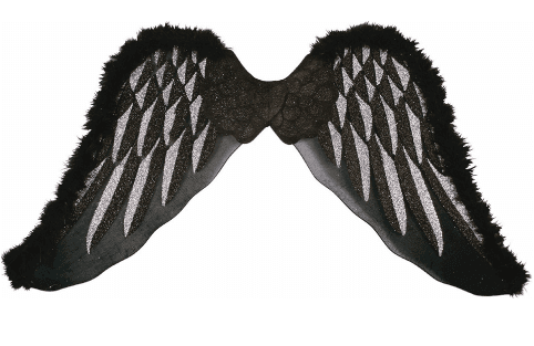 כתף בקר חלק מיושן