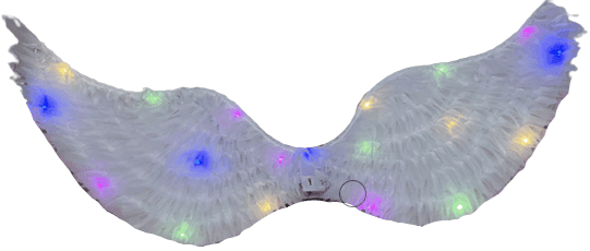 מארז תפוח אדמה גורמה