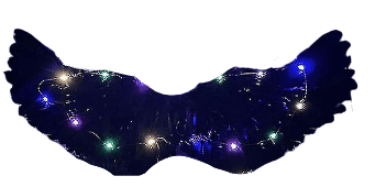 כנפיים מלאכית שחור אורות 60 ס"מ