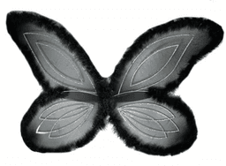 ציפורן טחון/שלם במשקל לפ