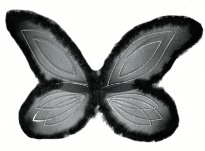 ציפורן טחון/שלם במשקל לפ