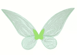 שקדי בקר כשר טרי