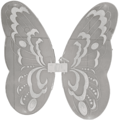 כנפיים פרפר לבן מפוארות ענקיות גודל 89X82