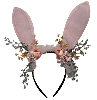 צלי בקר מס 5 טרי