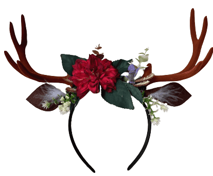 אנטריקוט עגלה עם עצם