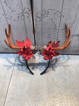 צלעות עגל עם עצם טרי