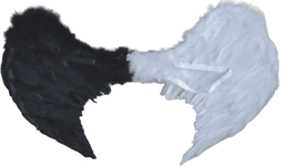 כנפי נוצות שחור לבן 80 ס"מ
