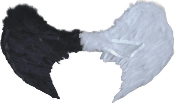 כנפי נוצות שחור לבן 80 ס"מ