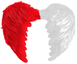 כנפי נוצות אדום לבן 60 ס"מ