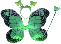 סט כנפי פרפר ירוק כולל קשת ושרביט