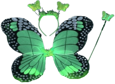 סט כנפי פרפר ירוק כולל קשת ושרביט