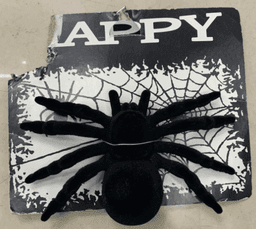 לב/כבד לבן/ריאות/כלי