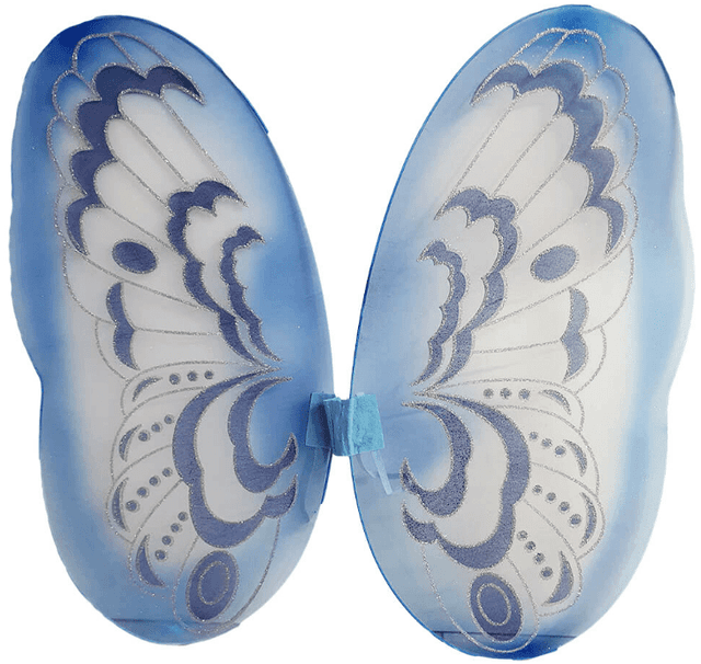 כנפיים פרפר תכלת מפוארות ענקיות גודל 89X82