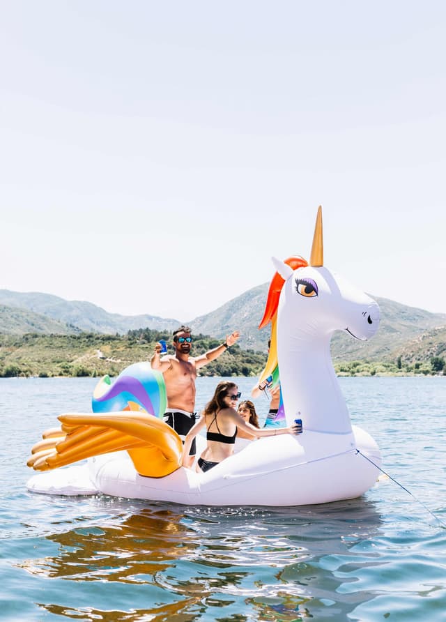 חד קרן ענק בקופסה(245*438*480 ס”מ)