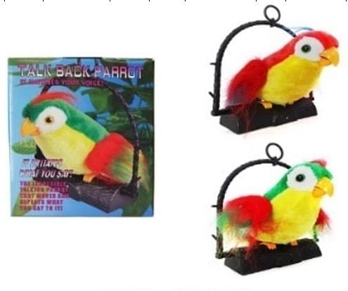 תוכי מקליט קטן