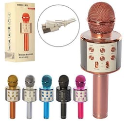 מיקרופון איכותי כולל מטען USB בתיק