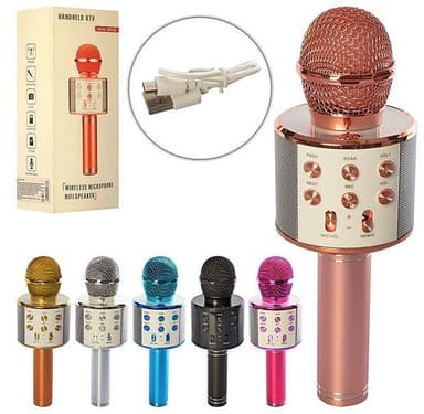 מיקרופון איכותי כולל מטען USB בתיק