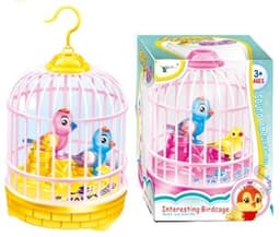 זוג ציפורים בכלוב גודל 12 ס"מ