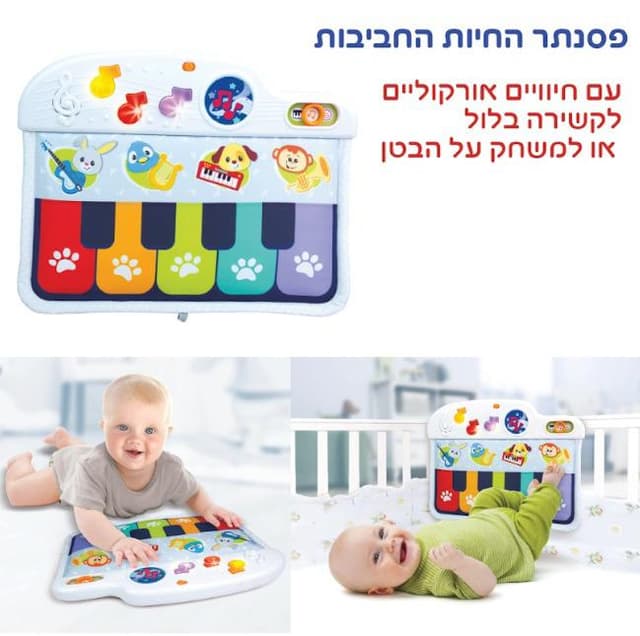 חליטות בטעמים