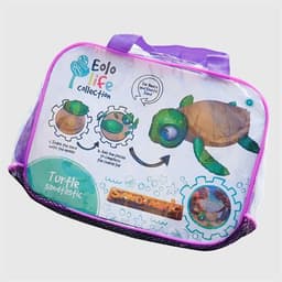 סנדטסטיק-צב יצירה בחול