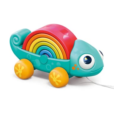 קשת זיקית – Rainbow Chameleon